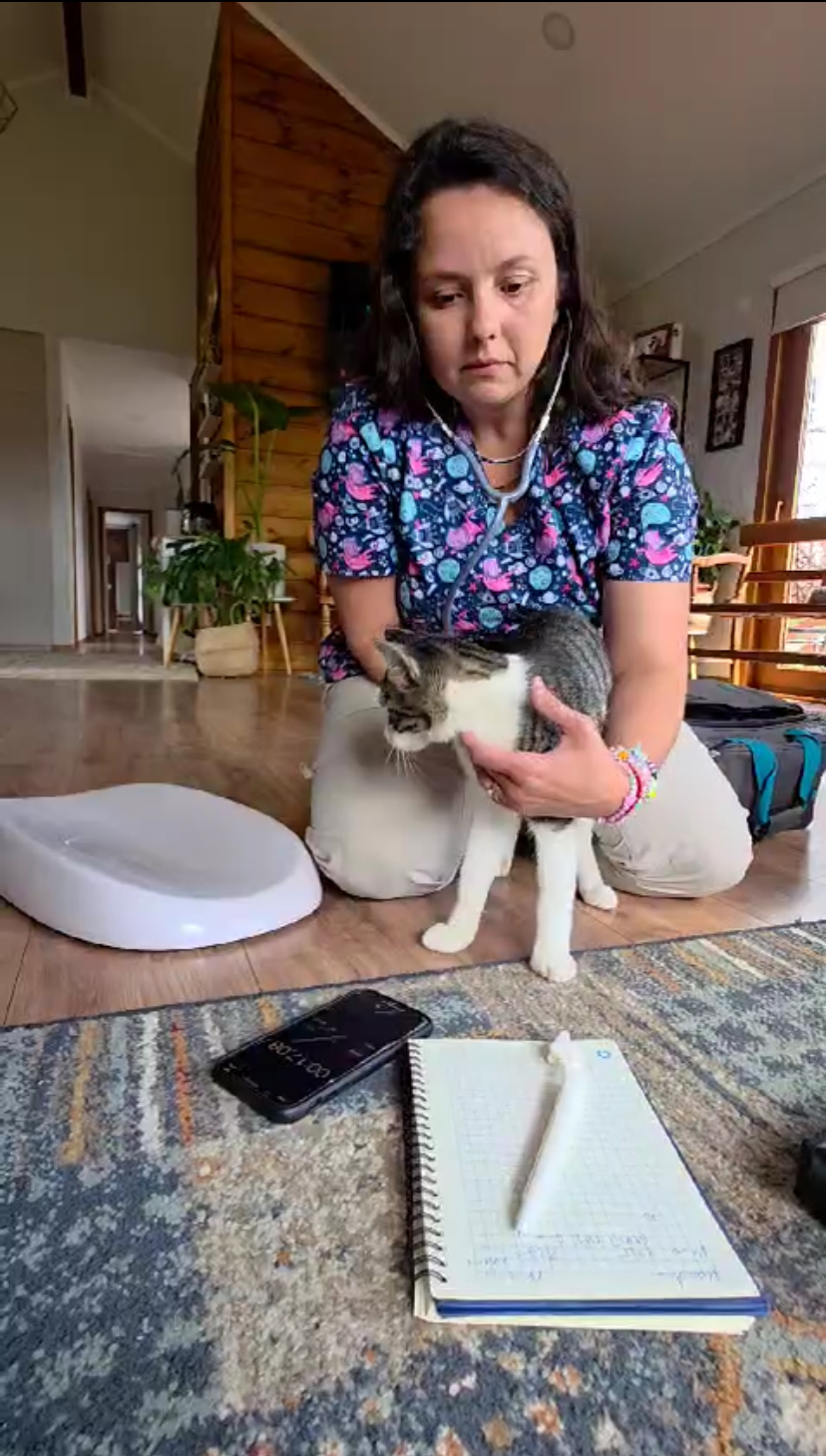 Servicios veterinarios Carola Barrientos SpA