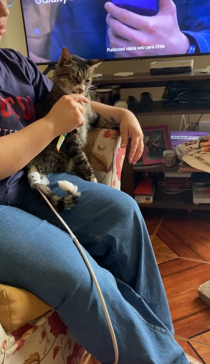 Servicios veterinarios Carola Barrientos SpA