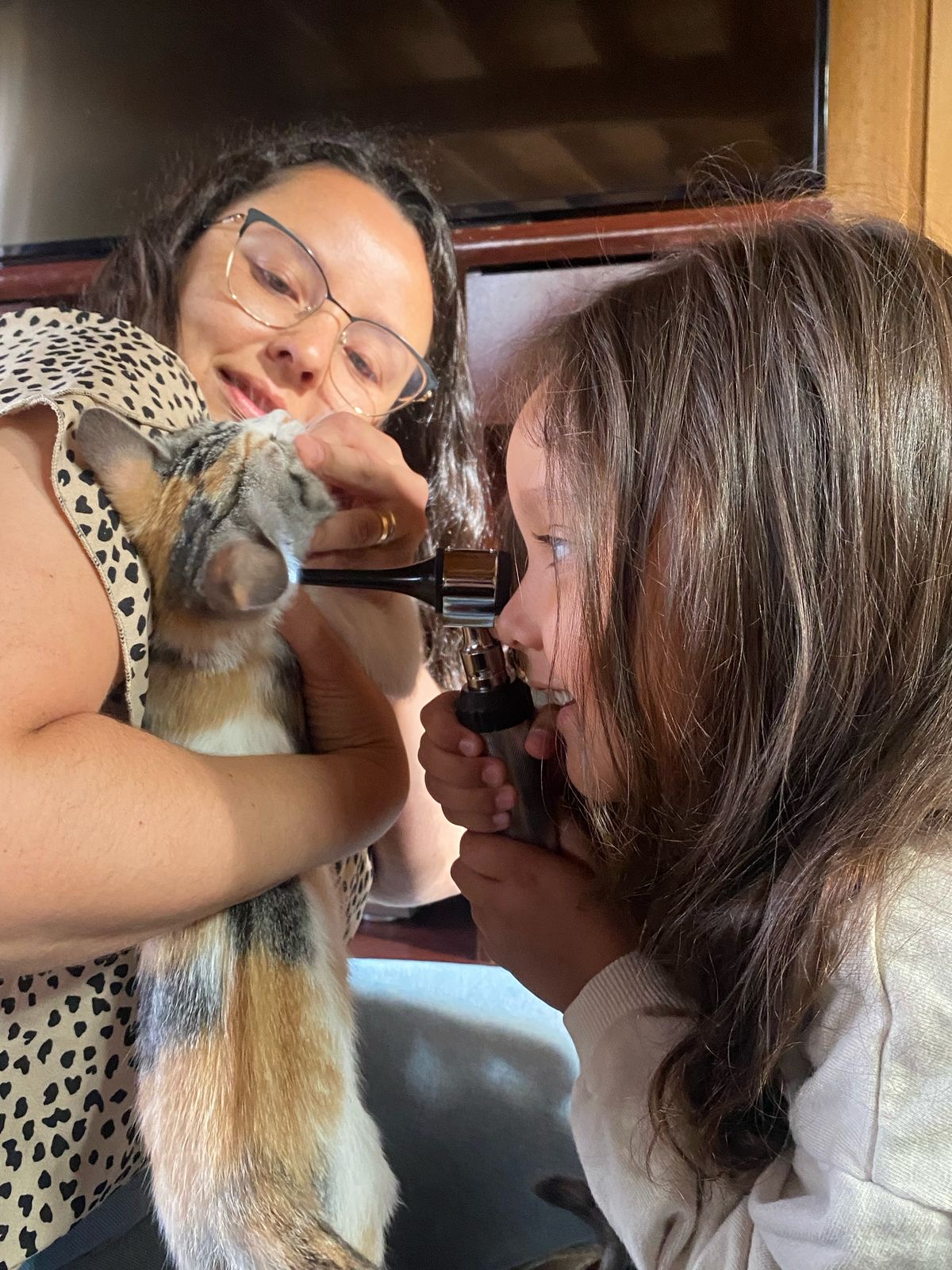 Servicios veterinarios Carola Barrientos SpA